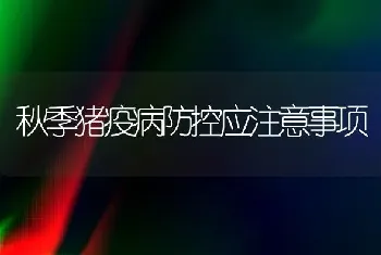 秋季猪疫病防控应注意事项