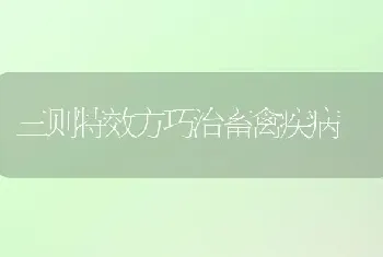 三则特效方巧治畜禽疾病