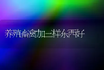 养殖畜禽加三样东西好