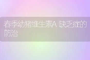 春季幼猪维生素A缺乏症的防治