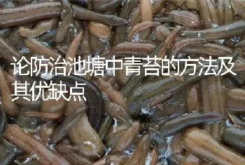 论防治池塘中青苔的方法及其优缺点