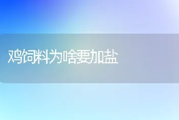 鸡饲料为啥要加盐