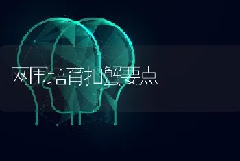 网围培育扣蟹要点