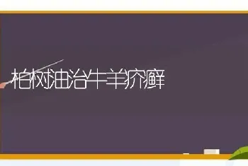 柏树油治牛羊疥癣