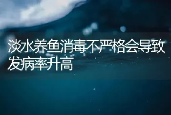 淡水养鱼消毒不严格会导致发病率升高