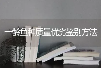 一龄鱼种质量优劣鉴别方法