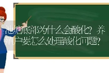 池塘底部为什么会酸化?养殖户要怎么处理酸化问题?