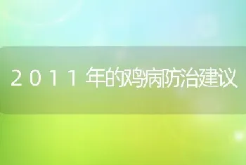 2011年的鸡病防治建议