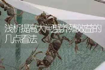 浅析提高大闸蟹养殖效益的几点看法