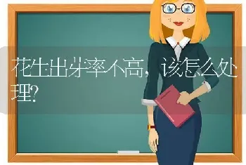 夏季养兔要做好七件事