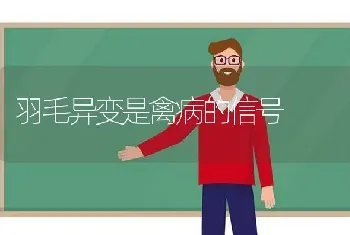 羽毛异变是禽病的信号