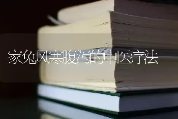 家兔风寒腹泻的中医疗法