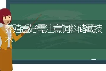 养殖看好需注意饲料储藏技术