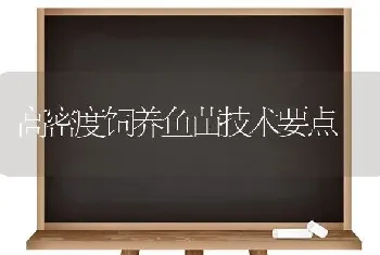 高密度饲养鱼苗技术要点