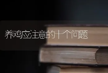 养鸡应注意的十个问题