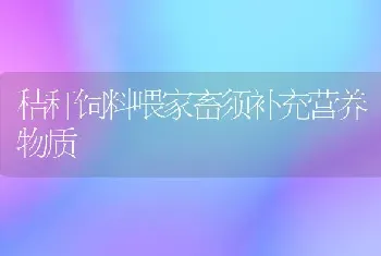 秸秆饲料喂家畜须补充营养物质