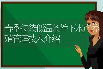 春季持续低温条件下水产养殖管理技术介绍