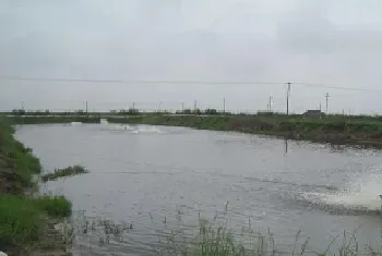 水质变化引起南美白对虾亚硝酸盐中毒一例