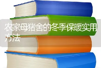 农家母猪舍的冬季保暖实用方法