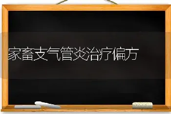 良种鸭品种介绍--高邮鸭