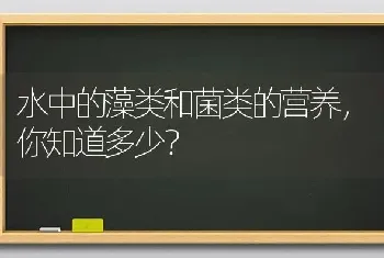 水中的藻类和菌类的营养,你知道多少?