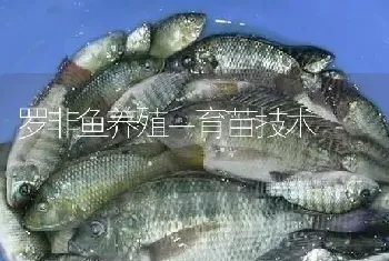 罗非鱼养殖－育苗技术