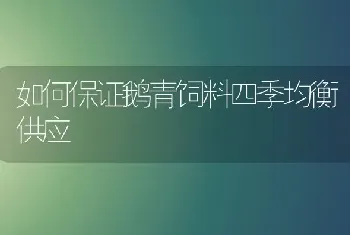 如何保证鹅青饲料四季均衡供应