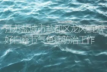 江苏盐城市盐都区龙冈镇抓好白露节气鱼病防治工作