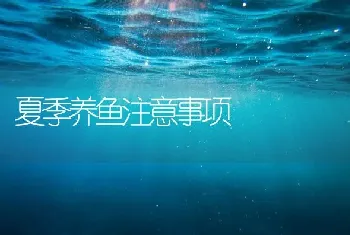 夏季养鱼注意事项