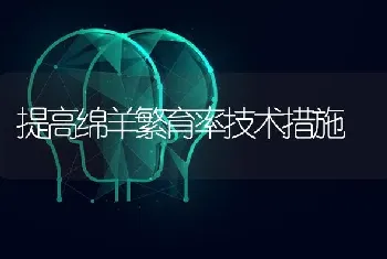 提高绵羊繁育率技术措施