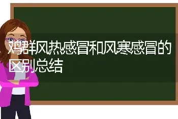 鸡群风热感冒和风寒感冒的区别总结