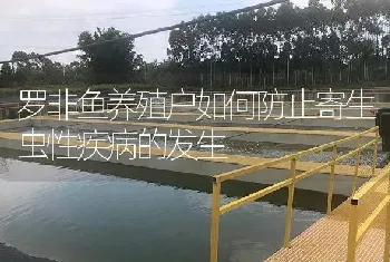 罗非鱼养殖户如何防止寄生虫性疾病的发生