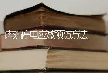 肉鸡停电应激预防方法