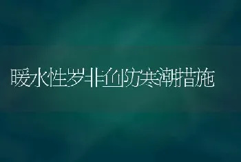 暖水性罗非鱼防寒潮措施