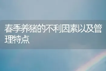 春季养猪的不利因素以及管理特点