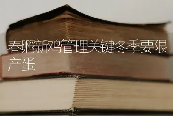 春孵新鸡管理关键冬季要限产蛋