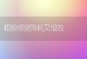 粗粮喂猪降耗又增效