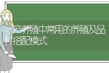 水产养殖中常用的养殖及品种搭配模式