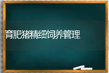 育肥猪精细饲养管理