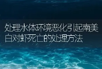 处理水体环境恶化引起南美白对虾死亡的处理方法