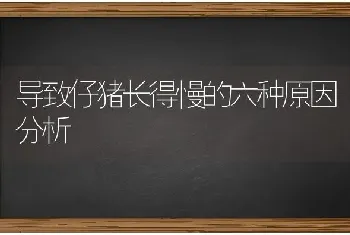 导致仔猪长得慢的六种原因分析