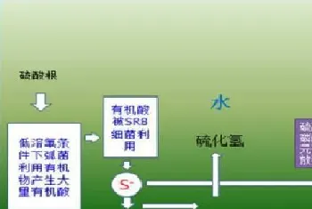 缺氧、浮头、偷死、突发死亡……这个池塘养殖中的罪魁祸首你不得不防！