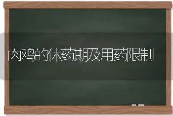 肉鸡的休药期及用药限制