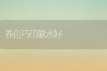 养鱼巧用氨水好