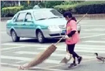 东莞一环卫工每天带宠物鸭扫大街