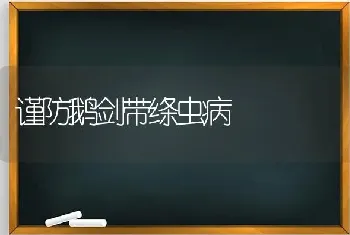 谨防鹅剑带绦虫病