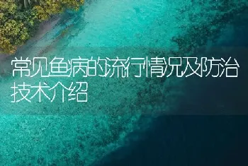 常见鱼病的流行情况及防治技术介绍