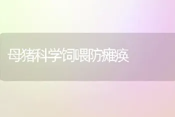 母猪科学饲喂防瘫痪