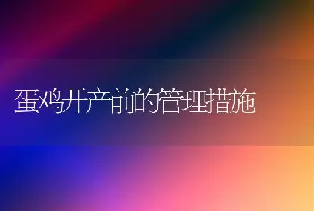 蛋鸡开产前的管理措施