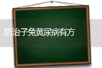 防治子兔黄尿病有方